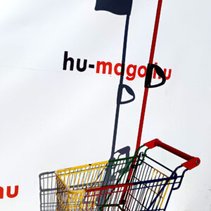 Shopping carts %Shopping trolleys% 4 Shopping carts Shopping Cart Wanzl D22 RC 333 Shopping carts - New, Used and refurbished shopping trolley